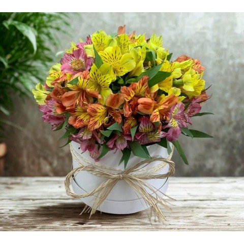 Arranjo na Caixa com Astromélias Coloridas